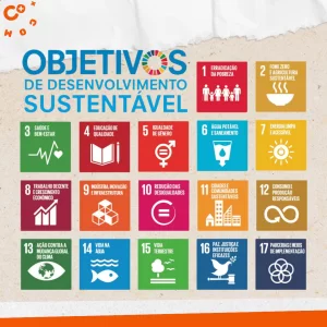 Ícone dos Objetivos de Desenvolvimento Sustentável (ODS)