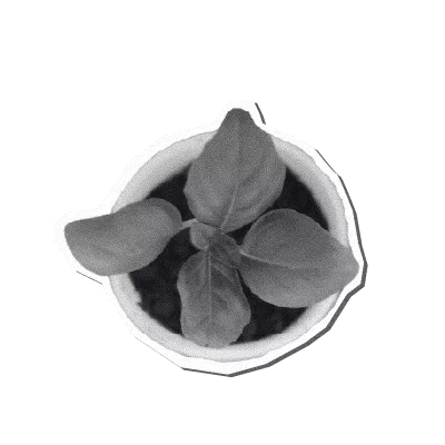 planta preto e branco